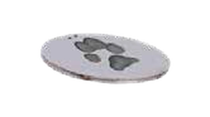 Kette mit originalem Pfotenabdruck