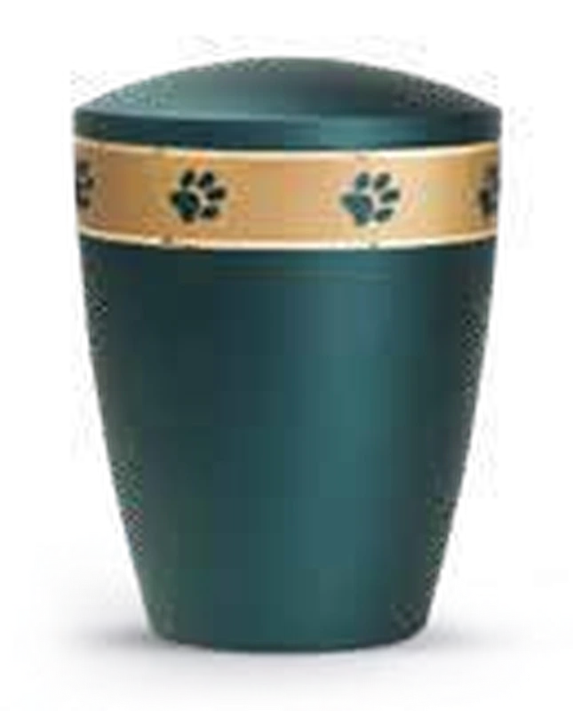 Edition Patas de Oro – petrol